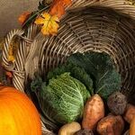 Giving Thanks