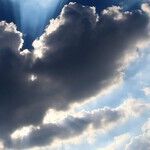 The Declaration of Undependence