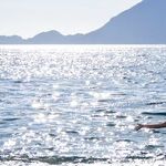 Solo Travel