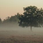 Undependence (Part 1)