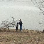 Should Volunteer Groups Accept Everyone?