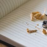 Bad Interview is Legal, but Unprofessional
