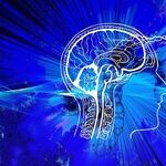 Make Your Brain Work For You