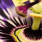 Reigniting Lost Passion Is Possible