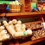 Breaking Free From Disordered Eating