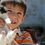 Unwanted Pet Attention