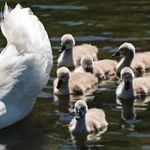 Happy Mother's Day!