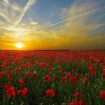 Atrial Fibrillation Awareness