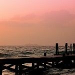 Easing Into Unfamiliar Freedom