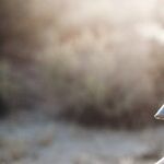 Keeping Your Child's Environment Healthy Is the No. 1 Priority
