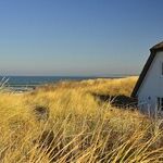 Hermit Brother Keeps Family in the Dark About Plans