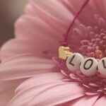 Happy Mother's Day!