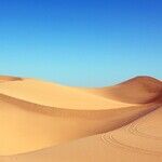 With All This Sand, There Must Be a Desert!