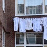How to Use Just the Right Amount of Laundry Detergent