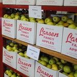 How to Win Big with a Warehouse Club Membership
