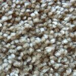 Got a Carpet Stain? Twist it Out