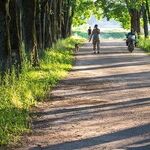 The Best Inexpensive Double Stroller