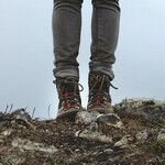The Simple Science of Eliminating Bad Odors