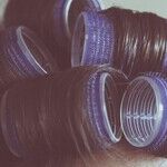 Hair Today, Gone Tomorrow