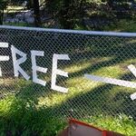 When It's FREE, Look for the Hidden Price Tag