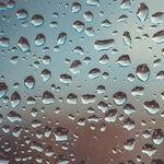 Ask Me Anything: Dehumidifiers and Glass Stovetop Disaster