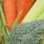 Keep that Garden Growing in the Fridge Plus More Great Reader Tips