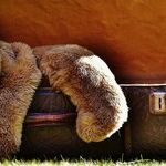 How to Maintain a Reasonable Toy Inventory and Other Great Reader Tips