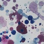 Using Hydrogen Peroxide to Remove Stains
