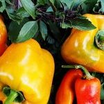 How to Make Your Own Highly Effective Fruit and Vegetable Spray
