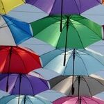 Best Inexpensive Umbrellas