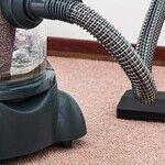 How to Stop Hating Your Carpet