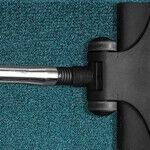 The Three Vacuums I Use Every Day and Absolutely Swear By