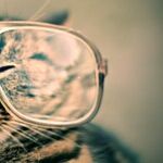 All You Need to Know to Get Prescription Eyeglasses Online