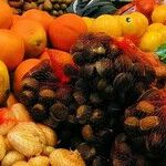 6 Ways to Stop Throwing Rotten Produce in the Garbage