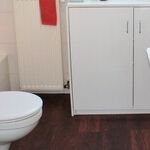 How to Get Rid of the Dreaded Toilet Bowl Ring