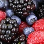 6 Super Easy Ways to Get Rid of Fruit Flies
