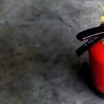 The Proper Care and Feeding of the 1 Thing Every Home Must Have