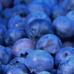 How to Make Fruits and Vegetables Last Longer