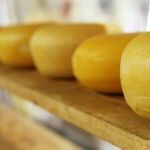 Hands Off the Cheese, Please!