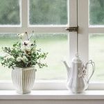 Ways to Use Windex That Have Nothing to Do With Windows