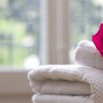 A Towel is Just a Towel, Right? Wrong!
