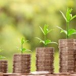 Saving by Choice, Not by Chance