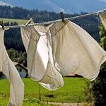 QA: Laundering Big Items, Where to Sell Books, When to Cancel Term Life Insurance and More