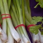 How to Regrow Scallions and Other Vegetables from Scraps