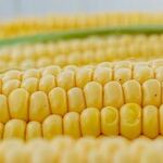 The Best Sweet Corn Tricks Ever Plus More Great Reader Tips