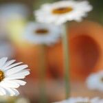 8 Little Words That Can Change Your Life