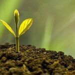 How Getting Through Hard Times Makes Us Stronger