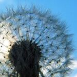 8 Things You Can Do to Survive Tough Times