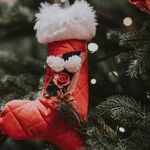Holiday Head Start