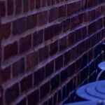 6 Things You Will Regret Throwing Out